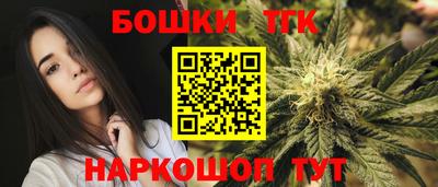 соль ск Моздок