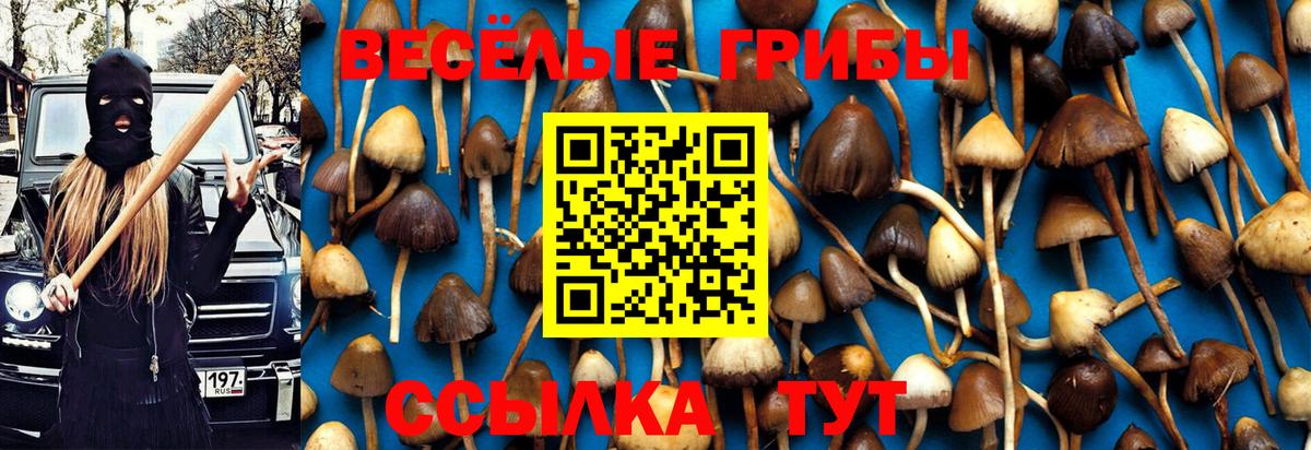 Галлюциногенные грибы прущие грибы Кингисепп