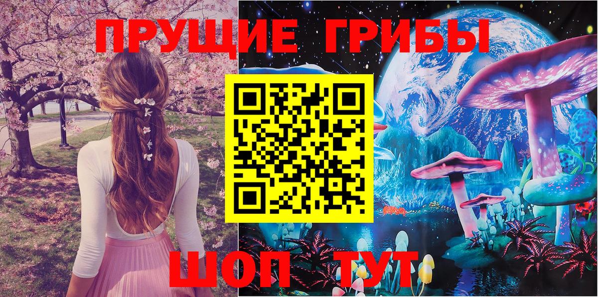 наркошоп  Галлюциногенные грибы GOLDEN TEACHER  Вход с VPN  Кингисепп 