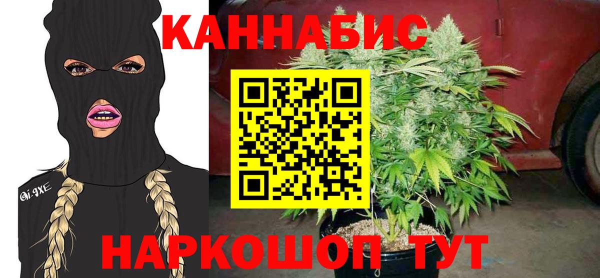 Конопля семена  МАРИХУАНА ГИДРОПОН  Конопля Bruce Banner  Кингисепп  Канабис конопля 